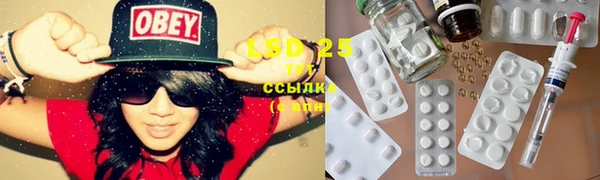 ПСИЛОЦИБИНОВЫЕ ГРИБЫ Пестово