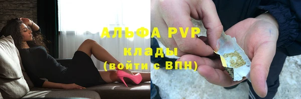 PSILOCYBIN Пересвет