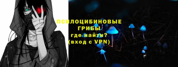 ПСИЛОЦИБИНОВЫЕ ГРИБЫ Пестово