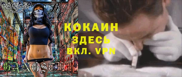 ПСИЛОЦИБИНОВЫЕ ГРИБЫ Пестово