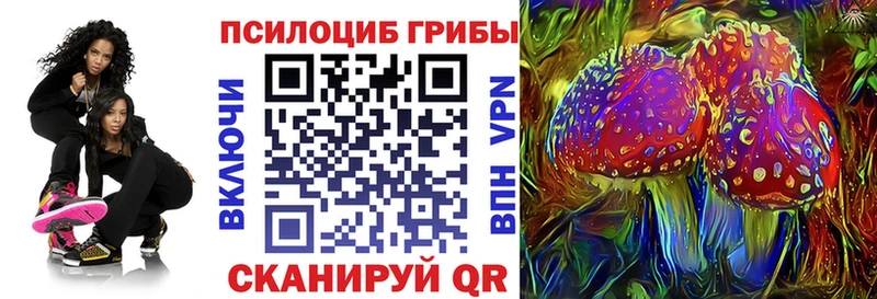 Псилоцибиновые грибы Psilocybe наркота Среднеколымск